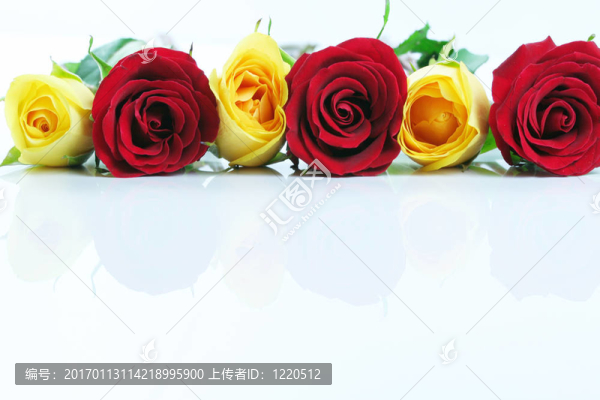 花香玫瑰邊框