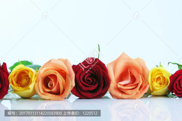 花香玫瑰邊框