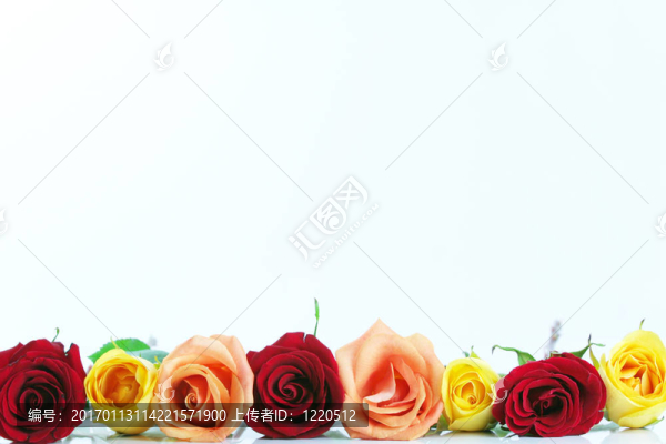 花香玫瑰邊框