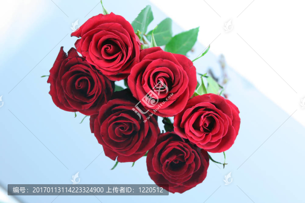 三朵紅玫瑰