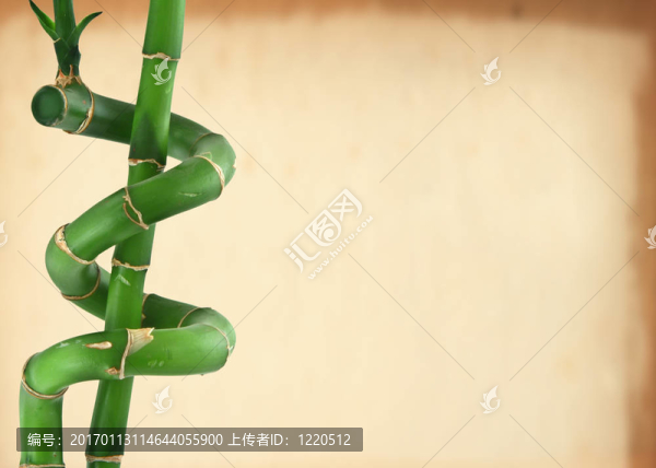 幸運(yùn)竹的背景