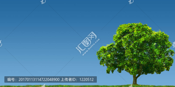 在Field樹