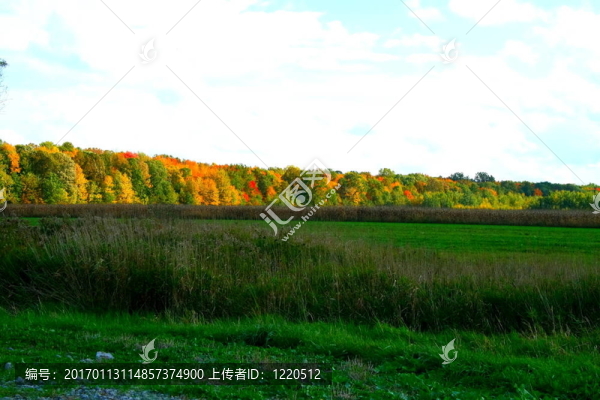 field-167