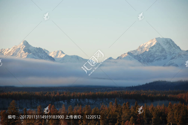 高高的山上