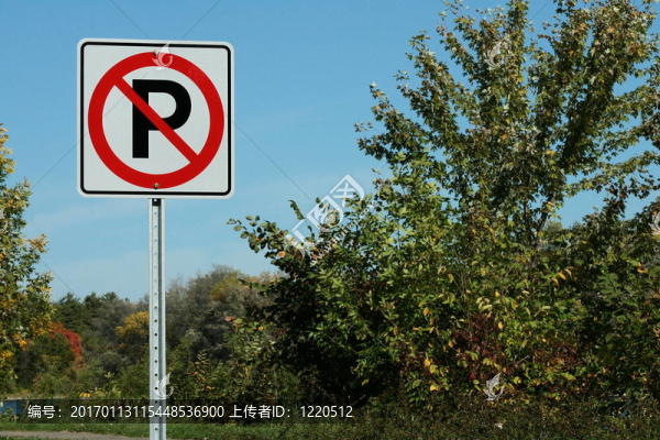 禁止停車