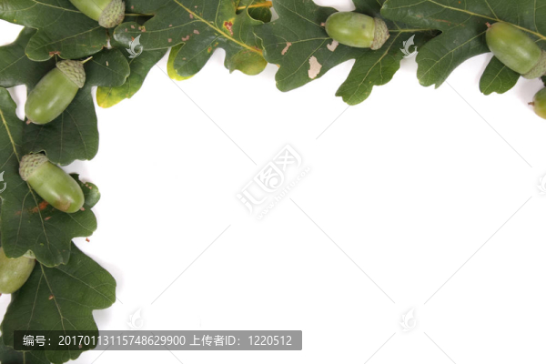 綠色框