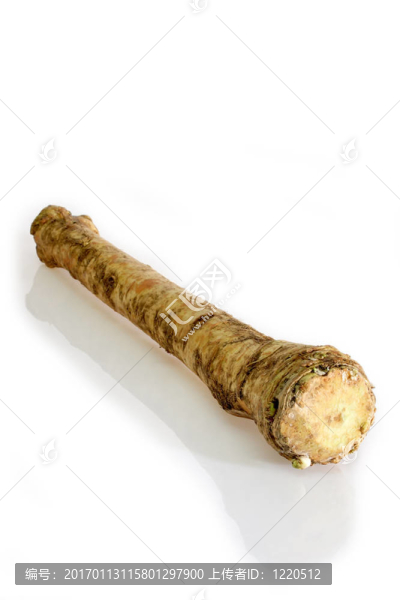 辣根