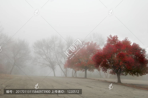 紅色的秋