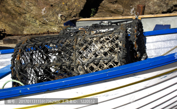 垃圾盆龍蝦-匯圖網(wǎng) www.fosd68.com 垃圾盆龍蝦