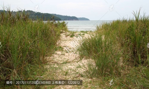 海灘路徑