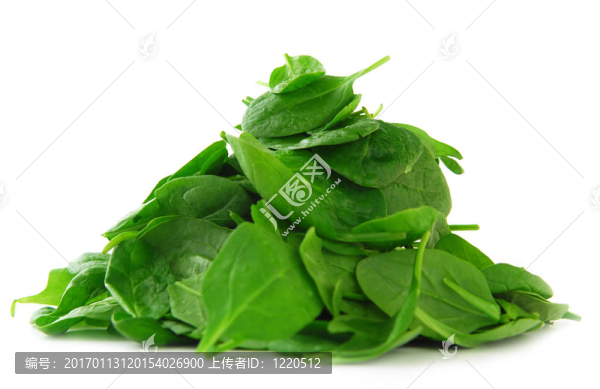 菠菜