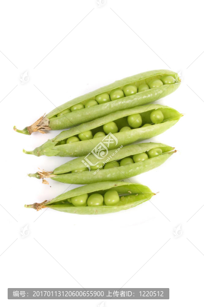 豌豆