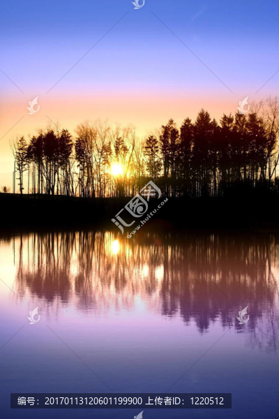 太陽集