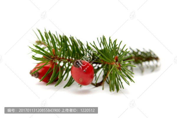 紅綠色的圣誕布置
