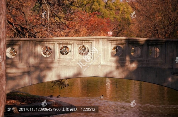 秋天的橋