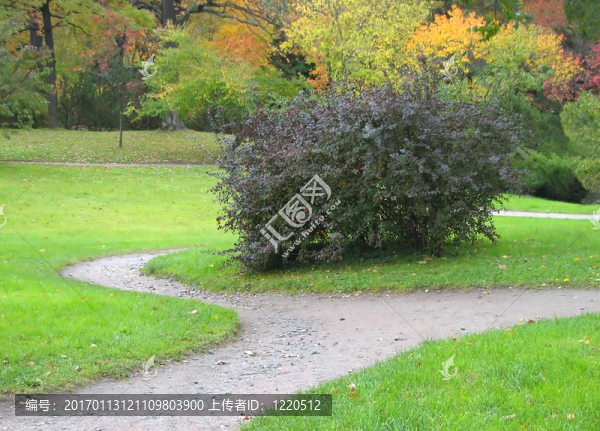 公園里