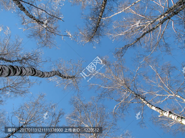 冬季的天空