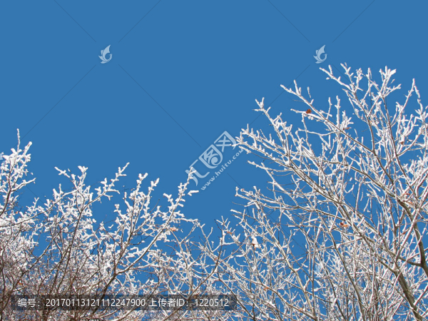 冬季的天空