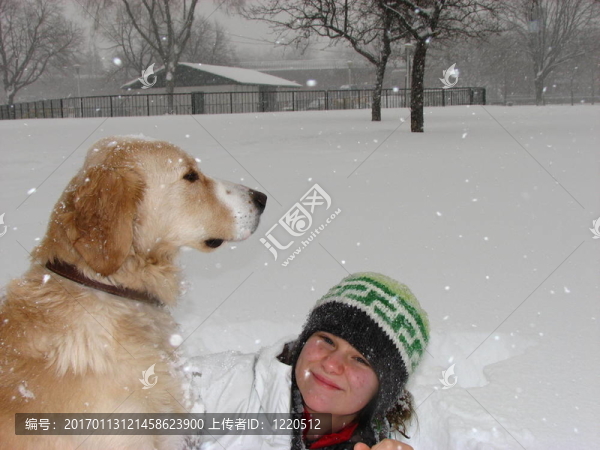 雪中的女孩和狗