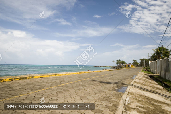 濱北尼加拉瓜玉米島