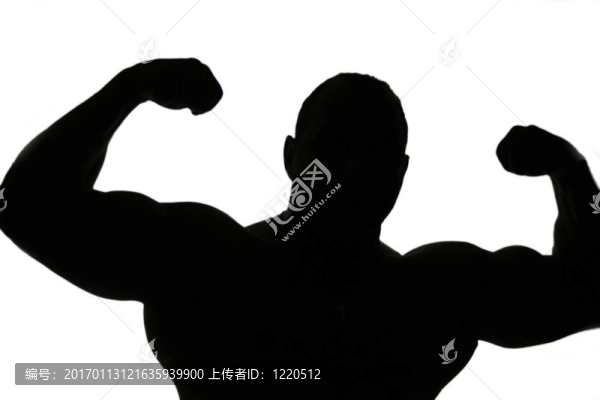 健美的剪影