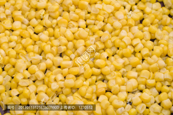 玉米