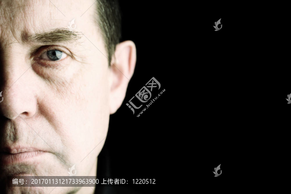 智力