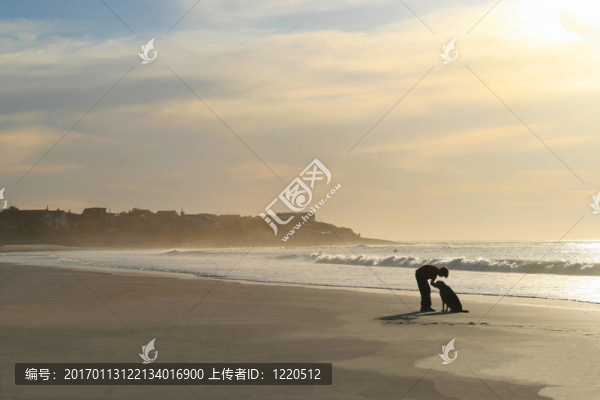 帶狗在海灘上的男孩