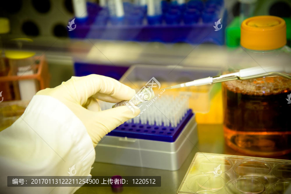 工作的科學家