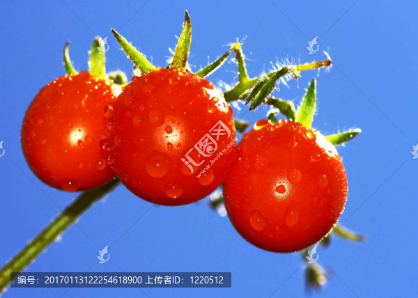 藍(lán)色和紅色