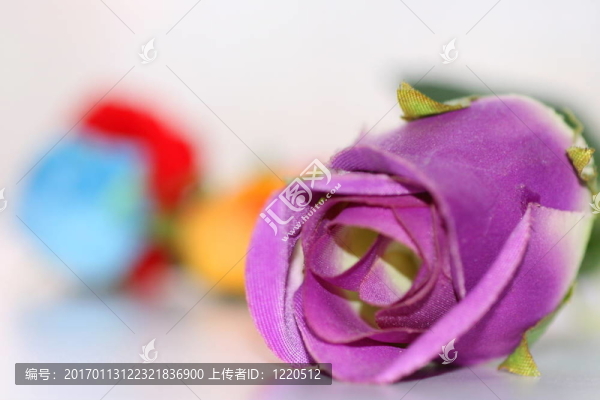 玫瑰