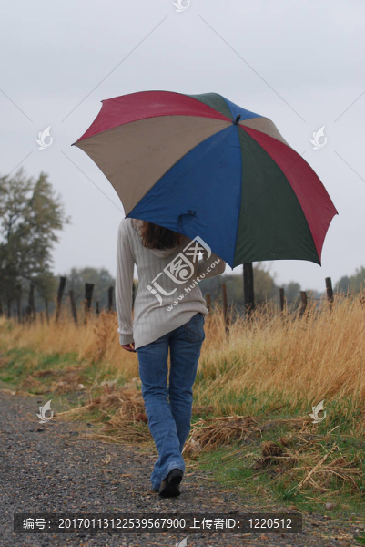 多雨的天氣