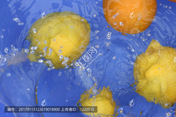 橙子和檸檬