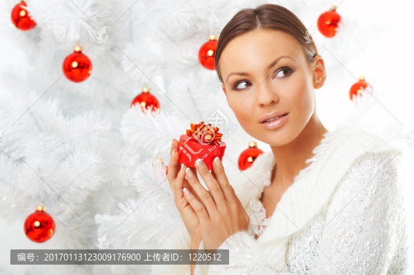 美麗的圣誕節(jié)2