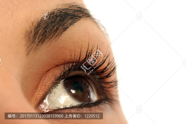布朗的眼睛
