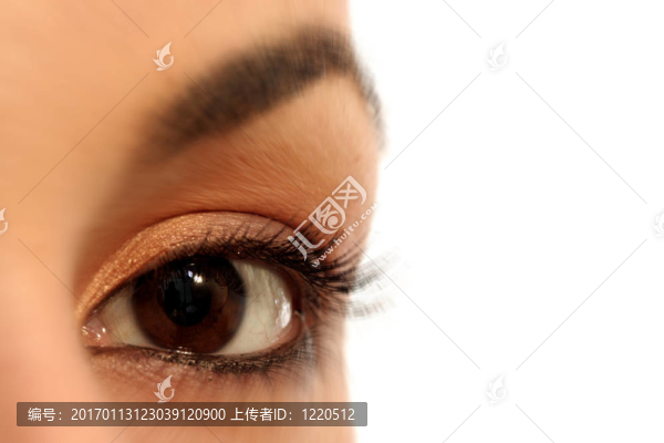 布朗的眼睛-匯圖網(wǎng) www.fosd68.com 布朗的眼睛