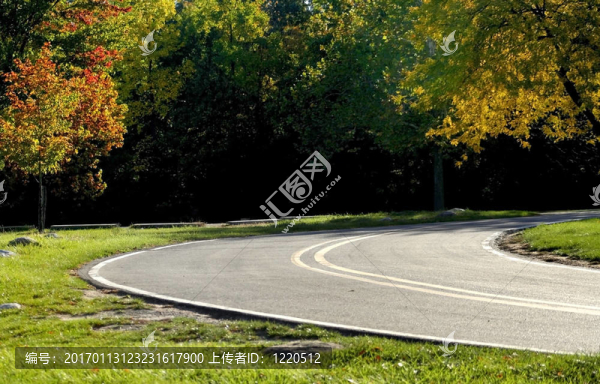 穿越森林的風景路