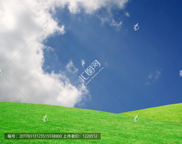 灑滿(mǎn)陽(yáng)光的草地上