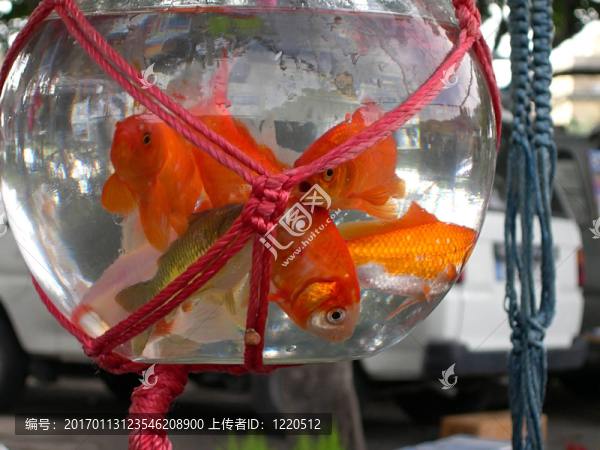 市場上出售的魚
