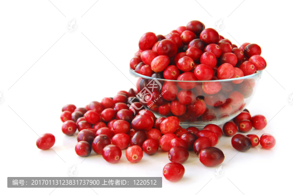 在一個碗里小紅莓