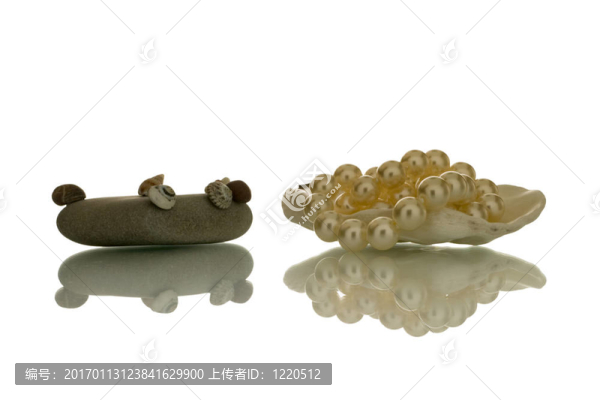 貝殼和珍珠