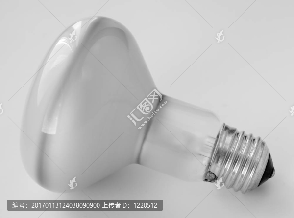 電燈泡