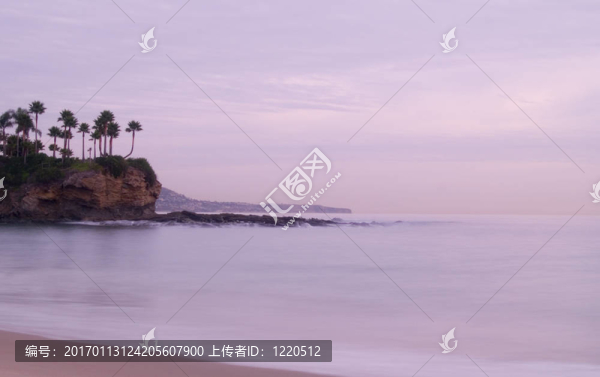 棕櫚樹和無限