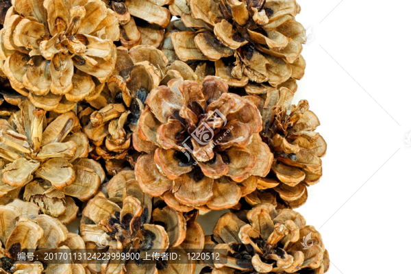 錐特寫(xiě)-匯圖網(wǎng) www.fosd68.com 錐特寫(xiě)