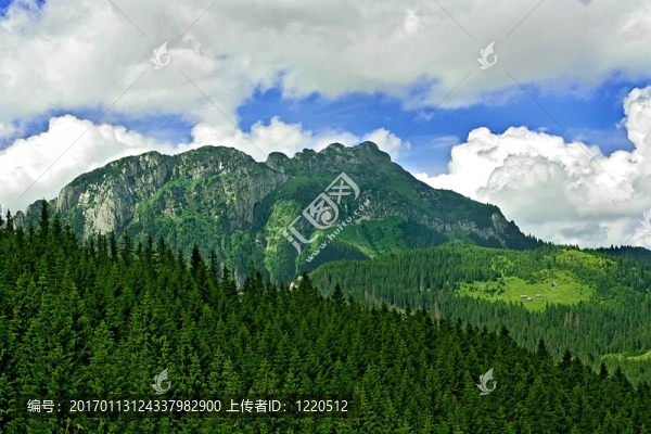 塔特拉-匯圖網(wǎng) www.fosd68.com 塔特拉