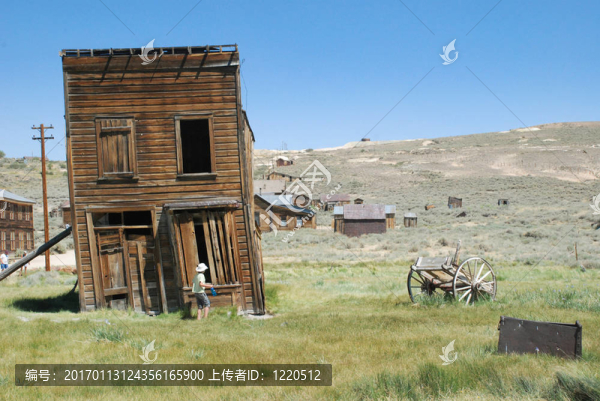 Bodie；公司