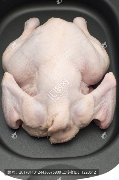 生雞肉