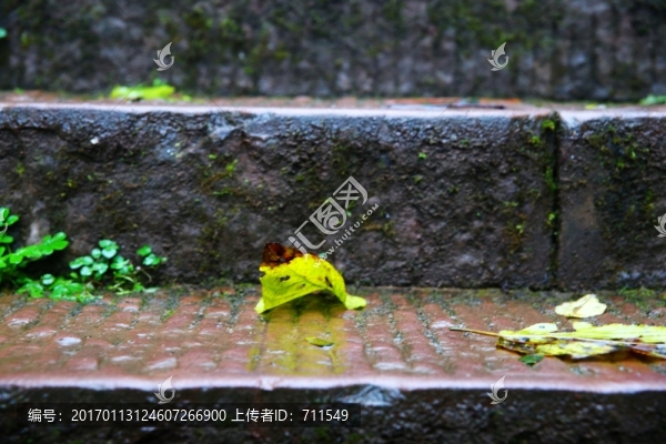 臺(tái)階上的落葉