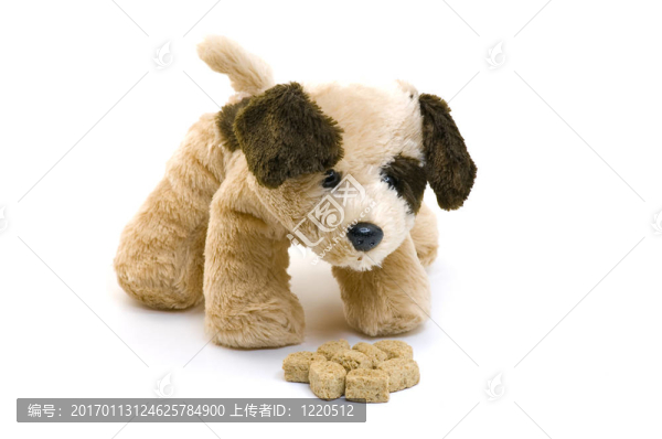 小狗吃