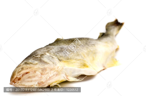 新鮮的魚